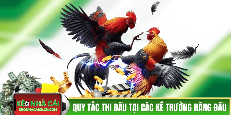 Đá Gà Campuchia - Kịch Tính Cùng Các Pha Ra Đòn Của Chiến Kê 4 Quy tắc thi đấu tại các kê trường hàng đầu
